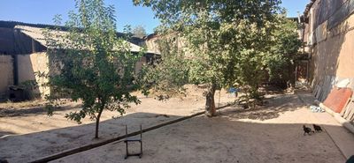 Toshken shahar olmazor tumani