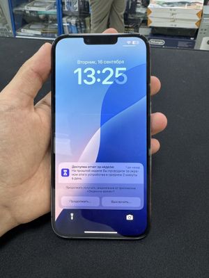 Iphone 13 pro max