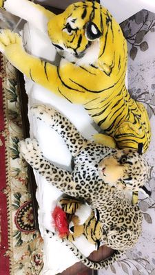 tiggerlar sastiyanasi juda yaxshi