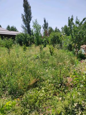 продаётся зем.участок 4 сот.