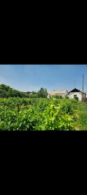 Продается дом в Таш область