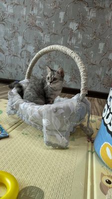 Срочно Продаётся