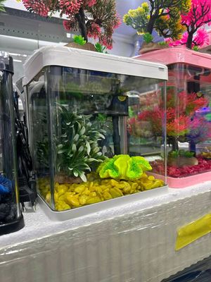 Nev Xitoy Akvariumlari