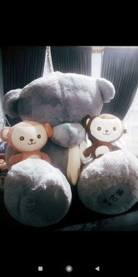 Teddy Ayiqcha