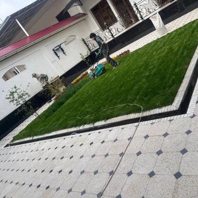 Газон екамиз тайор рулон уругидсепамиз.yevro.gazon