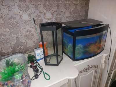 Akvarium sotiladi