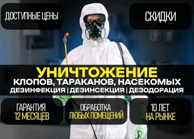 Дезинфекция клопов тараканов крыс мышей скорпионов