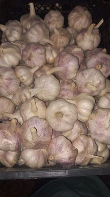 Chesnok xolati yaxshi nomer qoldirdim tel qilishila mumkin