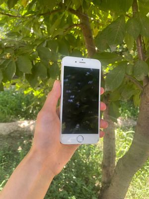 Iphone 6 holadi ideal