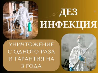 Дезинфекция от клопов дезинфекция клапа дезинфекция скорпионов змей
