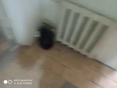 titan.chugun batareykalar sotiladi