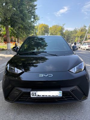 BYD Seagull 2024