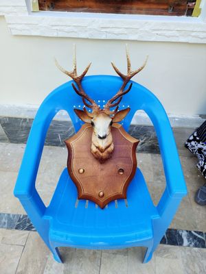 Dekorativ Kiyik shoxi