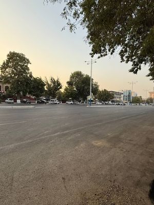 Земля вдоль дороги 19,3 сотки