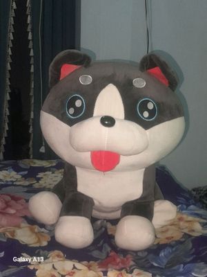 zurr