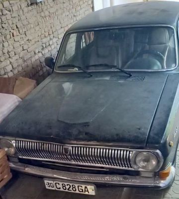 Volga qora urta holati, Samarqandda