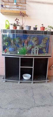 Akvarium sotiladi