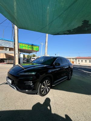 BYD Chempion 2024