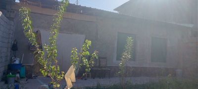 Uchaska dala hovli