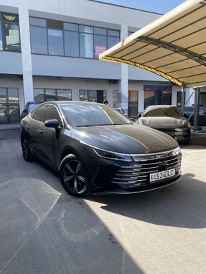 Byd chazor 2023 full pazitsiya