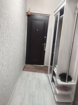 Аренда 2/4/4 ТТЗ-1, диадора с обстановкой