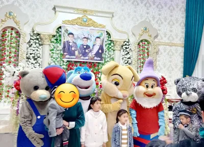 Ayiqlar sotiladi. Murojat uchun