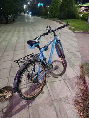 velosafed