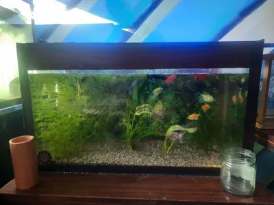 продаются аквариумы с рыбками