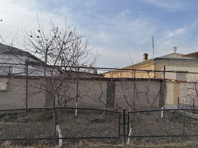 Bekobod tumani. Zafarda 4 so’tixli xovli sotiladi