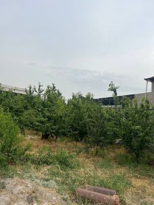 Продаётся пустая земля