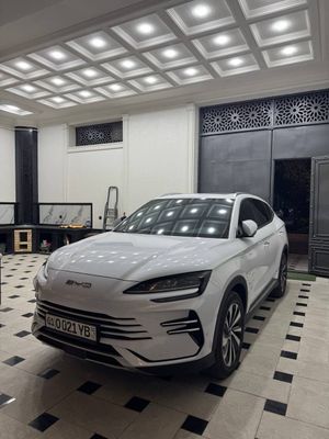 Byd song plus Champion 150 full