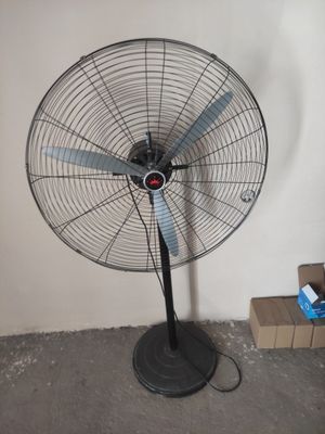 Veltinator xali yangidek