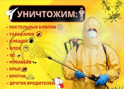 250 000 | Yuqori sifatli dezinfeksiya xizmati 100% bepul kafolati Y-6