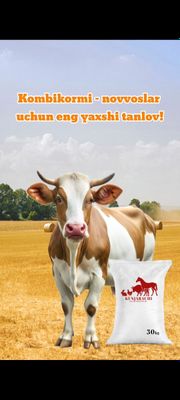 Kunjarachi tabiy eco yem