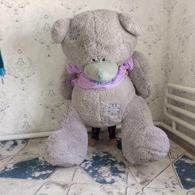 Teddi Ayiq sotiladi
