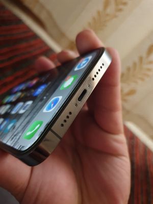iPhone 13 Pro Max graphit