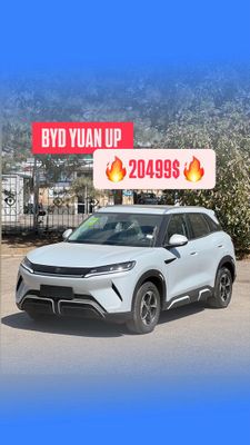 BYD Yuan Up 3 positsiya Aksiya