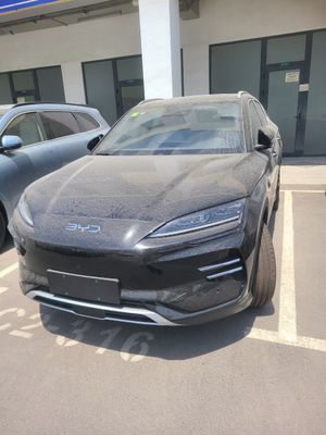 Byd song plus chempion
