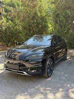 BYD champion 605 EV