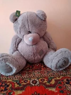 Teddy ayiq