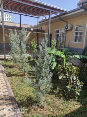 Kvartira bor faqat qizlar uchun Olmazor tumanida