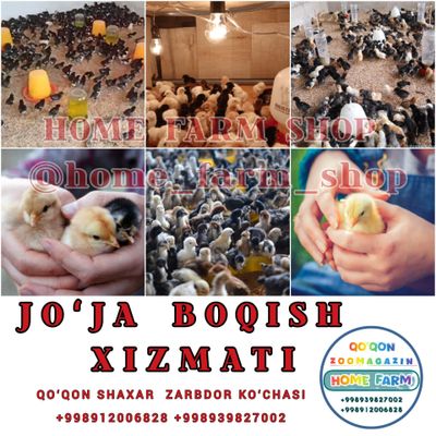 Joʻja Boqish Xizmati