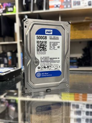 HDD 500gb WD Arzon narxda