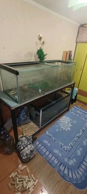 ikta Akvarium sotaman 400litr va 500litr