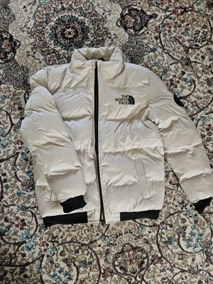 Мужская куртка THE NORTH FACE