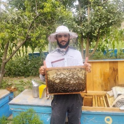 100%tabiiy asal mahsulotlari paxta, yantoq mayski