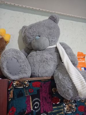 Teddiy miwka sotiladi. Xolati yaxwi.