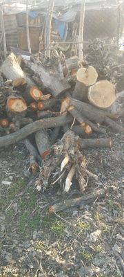 Otin sotiladi srochna