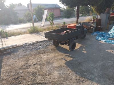 Муравей розгор боп