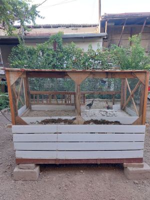 Курятник для куриц